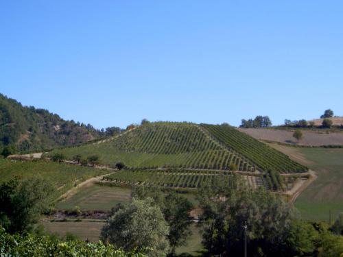 foto-vigna-1-001